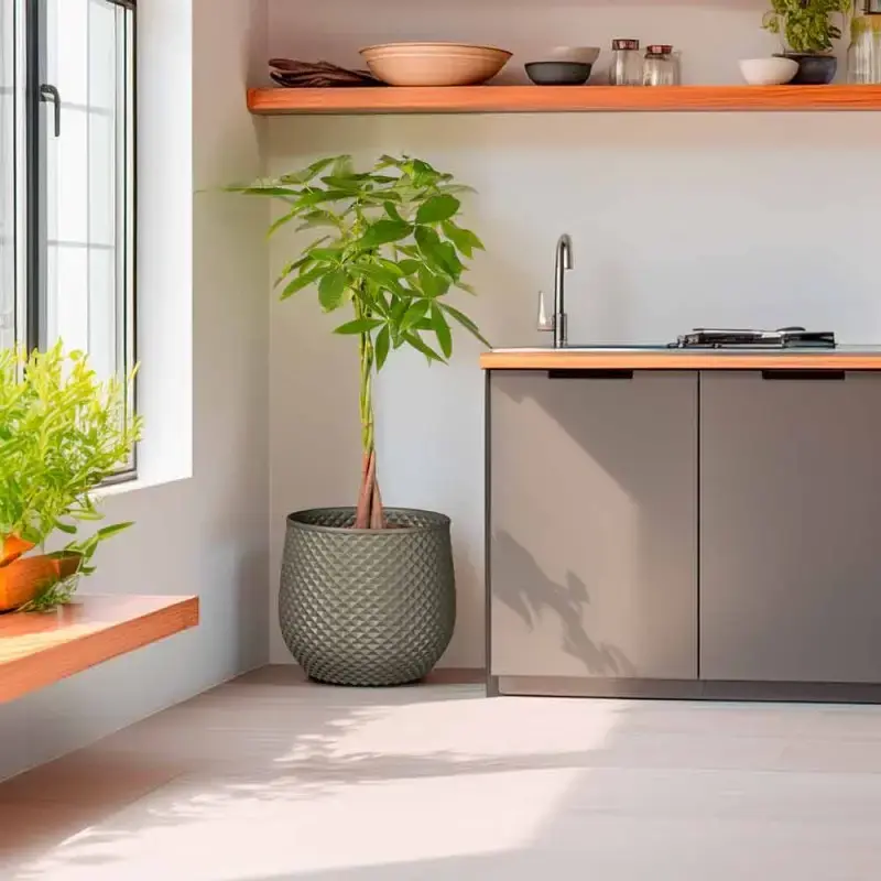grand-cache-pot-de-fleurs-exterieur-interieur-design-moderne-ananas-decors-cuisine.webp