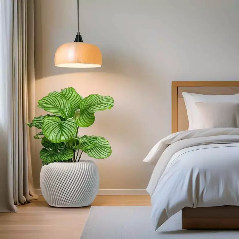 cache-pot-rond-interieur-exterieur-large-spirilus-interieur-chambre-blanc.webp