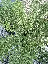 IMG_7695.webp