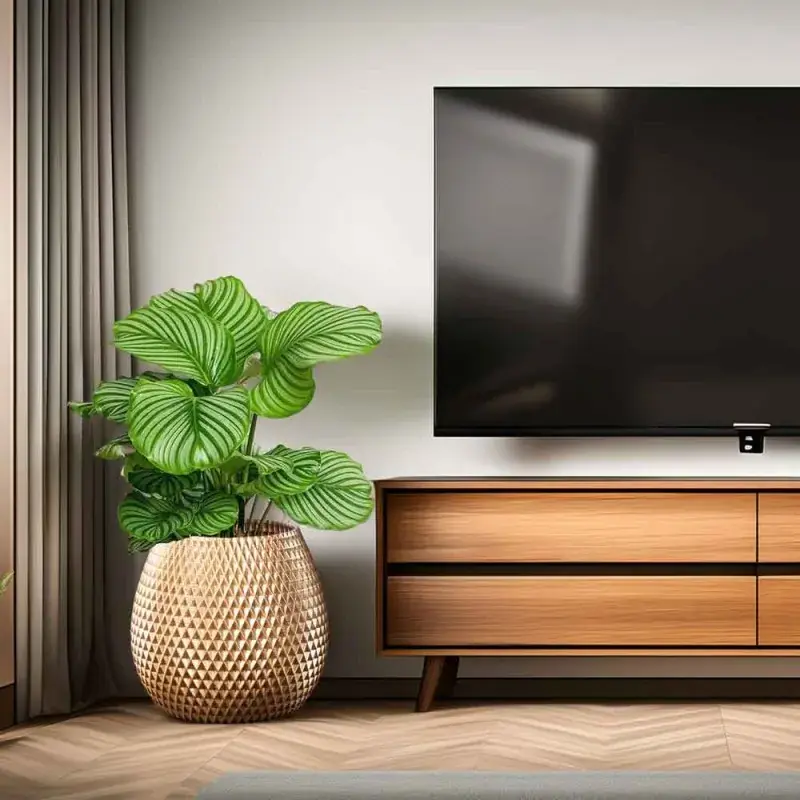 pot-design-ananas-or-salon-meuble-tele.webp